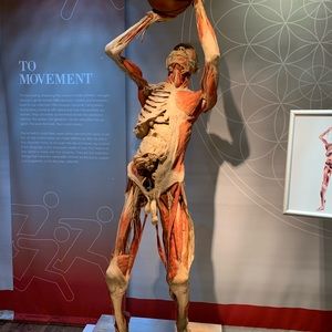 Meet your Posher, Agnes